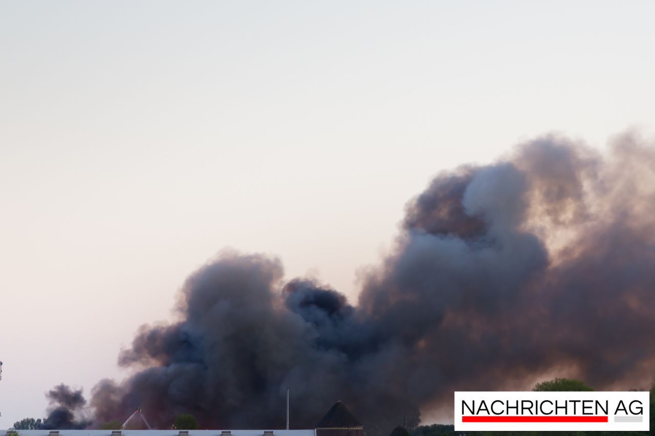 Tragic Shed Fire Claims Lives of Nine Dogs in Altamonte Springs