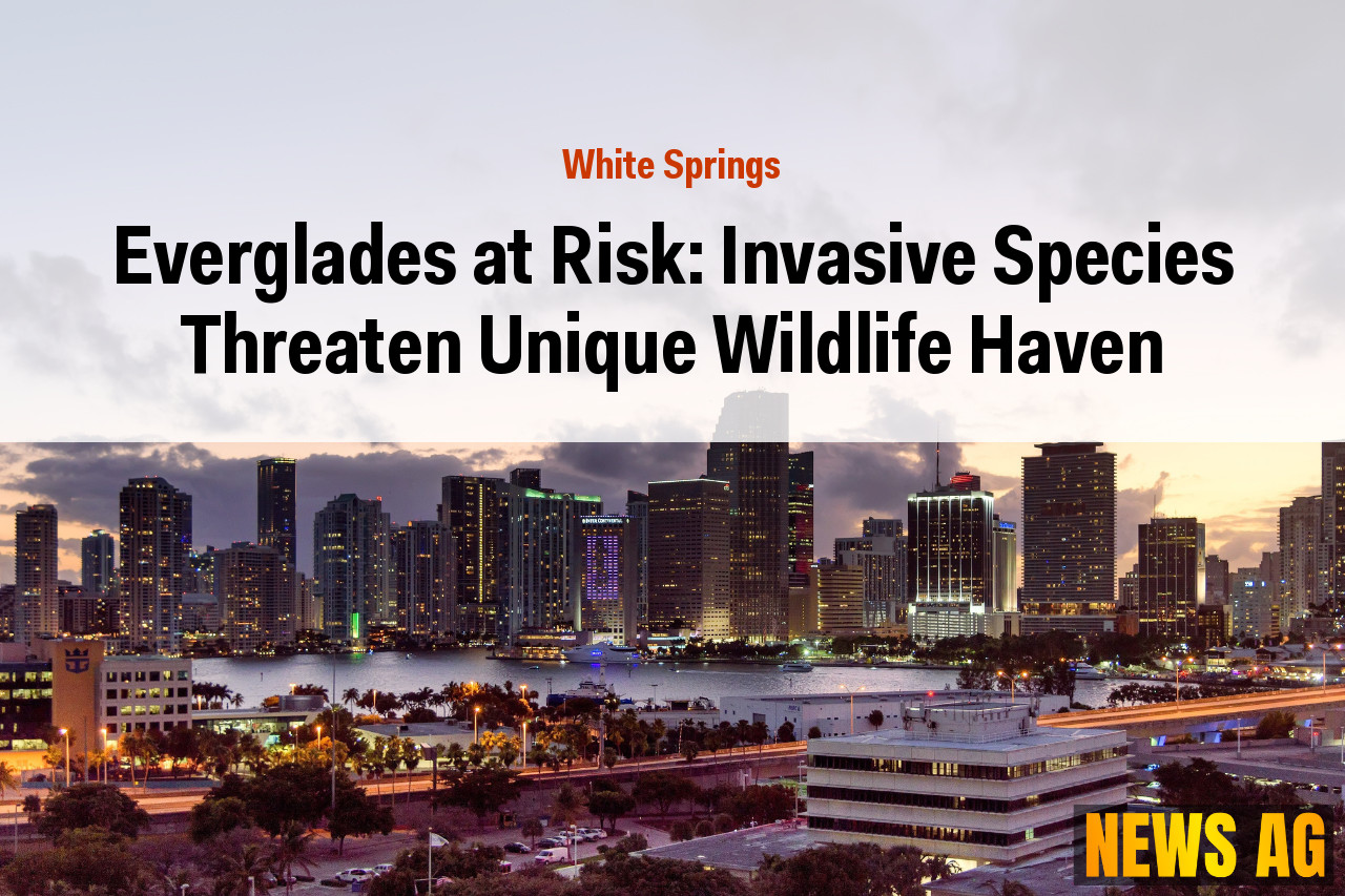 Everglades at Risk: Invasive Species Threaten Unique Wildlife Haven