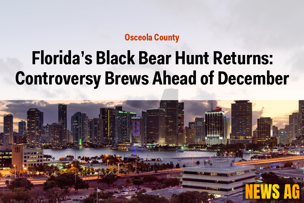 Florida’s Black Bear Hunt Returns: Controversy Brews Ahead of December