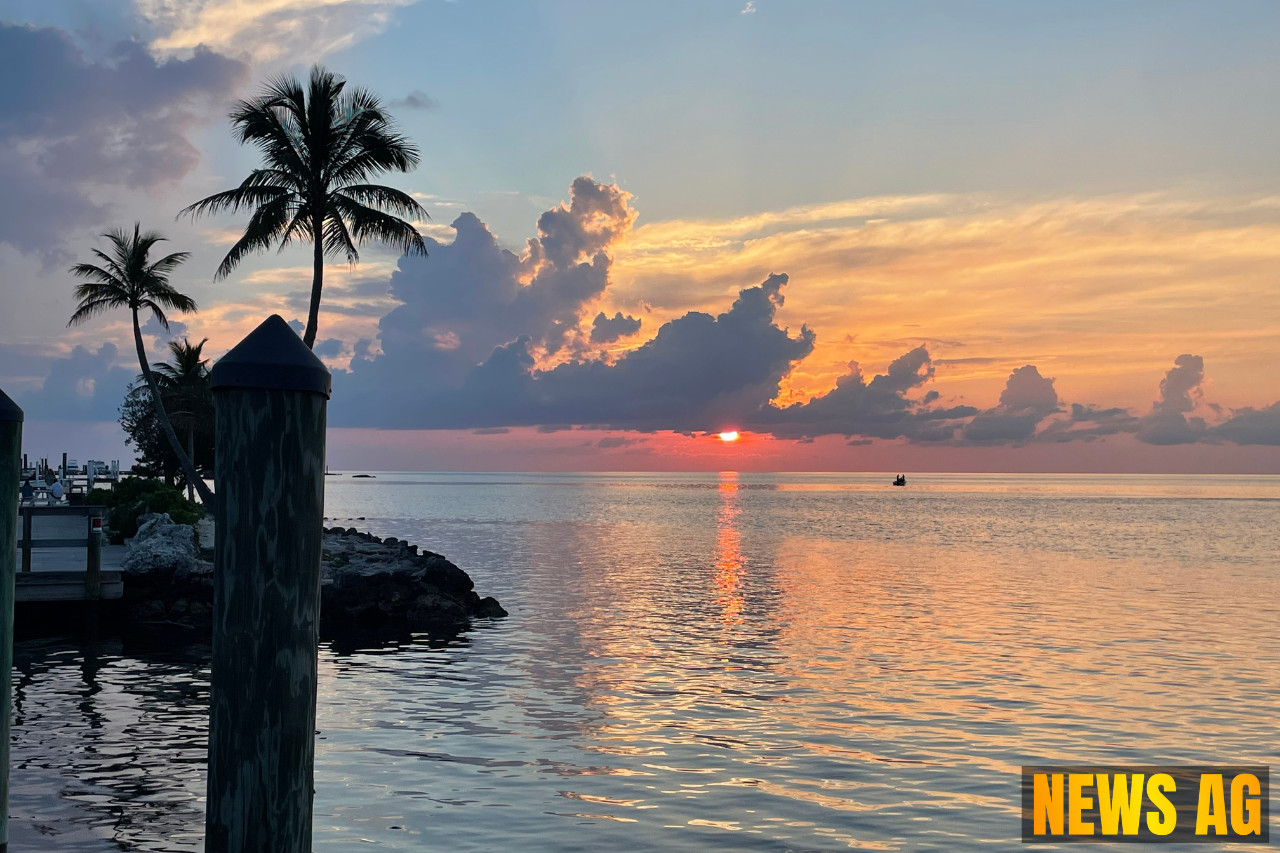 Join the Jury Experience: Decide Justice Live in Miami!