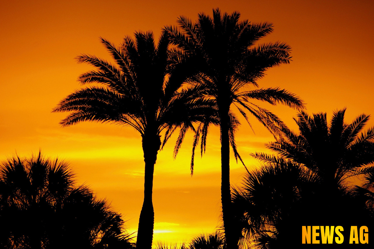 Halo Infinite Enters Maintenance Mode: What’s Next for the Franchise?